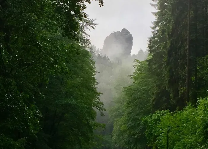 Am Gruenbach 1 Lägenhet *